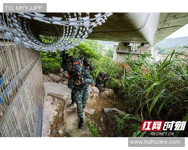 深入分析IG战队边路渗透打法的战术思路与实战应用